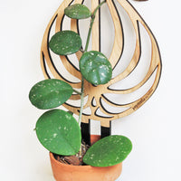 Peptrella - Plant trellis inspired by watermelon peperomia
