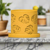 Monstera Leaf Planter With Size & Color Options