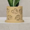 Monstera Leaf Planter With Size & Color Options