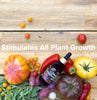 Magic Mushroom Elixir, Plant Growth Enhancing Serum By Love Plants
