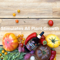 Magic Mushroom Elixir, Plant Growth Enhancing Serum By Love Plants