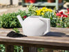 HydraMate Modern Watering Can for Houseplants, Pick From Many Colors