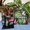 Houseplant Repotting Kit By Love Plants