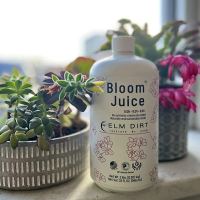 Bloom Juice - Our Award-Winning Formula for Spectacular Flowers By Elm Dirt