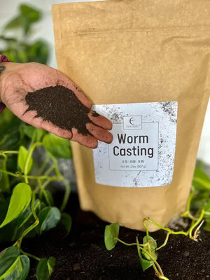 Worm Castings By Elm Dirt