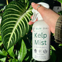 Kelp Mist For Plants By Elm Dirt