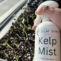 Kelp Mist For Plants By Elm Dirt