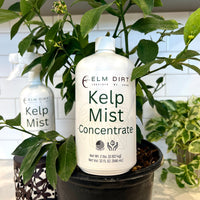Kelp Mist For Plants By Elm Dirt