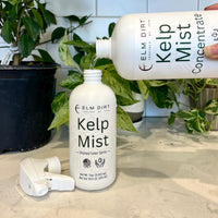 Kelp Mist For Plants By Elm Dirt