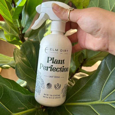 Plant Perfection Spray By Elm Dirt