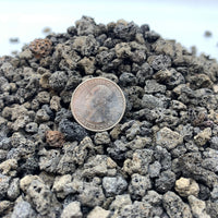 Black Lava Rock By Bonsai Supply