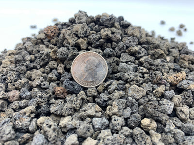 Black Lava Rock By Bonsai Supply