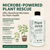 Plant Juice By Elm Dirt