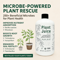 Plant Juice By Elm Dirt