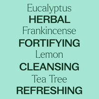 Immune Aid Essential Oil Blend By Plant Therapy
