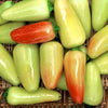 Jaloro Jalapeno Pepper Seeds Texas Hybrid Garden Vegetables