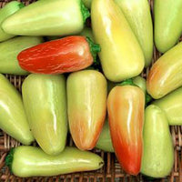 Jaloro Jalapeno Pepper Seeds Texas Hybrid Garden Vegetables