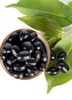 Syzygium cumini, Jamun Java Plum Fruit Tree- Live Plant