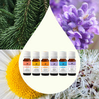 KidSafe Starter Pack 10 mL By Plant Therapy