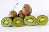 Actinidia arguta 'Prolific' Kiwi Vine, Hardy Sweet, Tangy Live Fruit Garden Plant