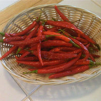 Kung Pao Pepper Seeds, Garden Vegetables