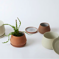 Rancho Stoneware Ceramic Planter With Color & Size Options