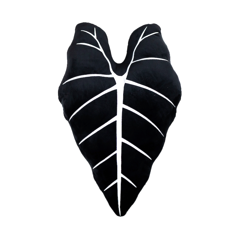 Alocasia Micholitziana Frydek, Plant Leaf Pillow