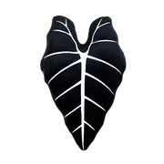 Alocasia Micholitziana Frydek, Plant Leaf Pillow