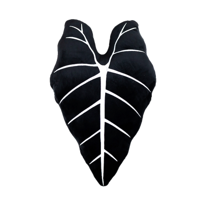 Alocasia Micholitziana Frydek, Plant Leaf Pillow