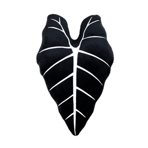 Alocasia Micholitziana Frydek, Plant Leaf Pillow