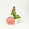 Lili™ Sausr - Lilly pad shaped Saucer - Spill tray - Drip tray for houseplants - Humidity tray