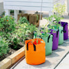 Grow Bags - 7 Gallon Colored Fabric Pots By Bootstrap Farmer