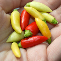 Little Elf Pepper Seeds, Hungarian Garden Vegetables