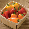 Lunchbox Mix Pepper Seeds, Garden Vegetables