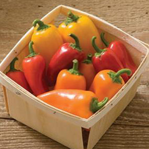 Lunchbox Mix Pepper Seeds, Garden Vegetables