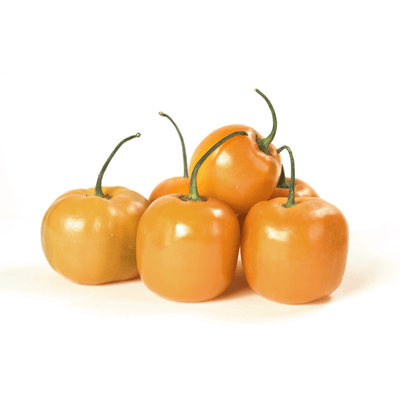 Manzano Orange Pepper Seeds, Central And South American Garden Vegetables