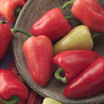Mariachi Pepper Seeds, Mild Poppers Garden Vegetables
