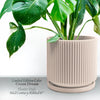 Mid-Century Ribbed Planter In Several Different Colors & Sizes