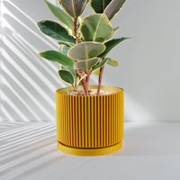 Mid-Century Ribbed Planter In Several Different Colors & Sizes