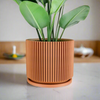 Mid-Century Ribbed Planter In Several Different Colors & Sizes