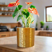Moon Planter With Size & Color Options