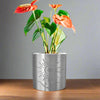 Moon Planter With Size & Color Options