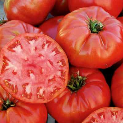 Mortgage Lifter Tomato Seeds, Garden Vegetables
