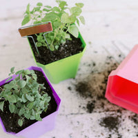 5" Heavy Duty Nursery Pots By Bootstrap Farmer MADE IN THE USA