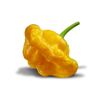 Jamaican Yellow Mushroom Pepper Seeds, Exotic Garden Vegetables