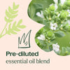 No More Warts KidSafe Essential Oil Pre-Diluted Roll-On By Plant Therapy
