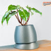 Nubium Planter In Many Colors & Sizes