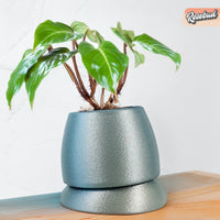 Nubium Planter In Many Colors & Sizes