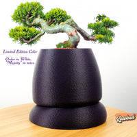 Nubium Planter In Many Colors & Sizes