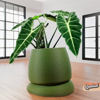 Nubium Planter In Many Colors & Sizes